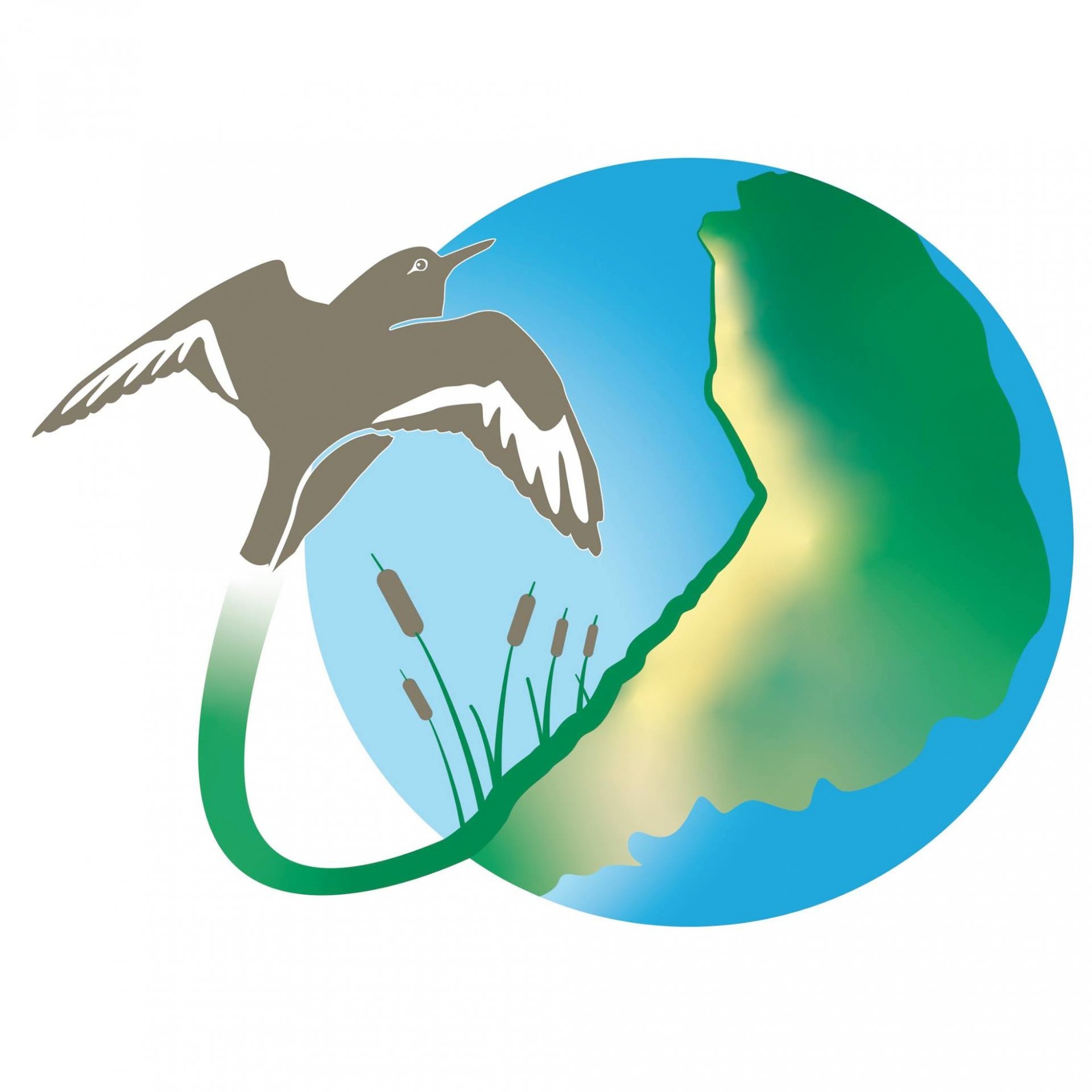 Humedales costeros Humedales costeros