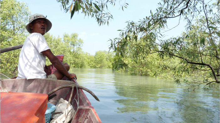 In den Mangroven bei Dawei In den Mangroven bei Dawei