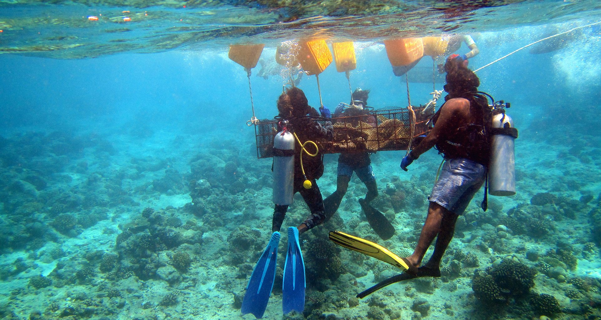 Relocation Relocation